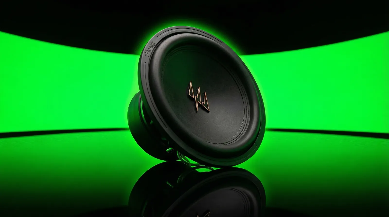 Subwoofer Evok de 12 polegadas